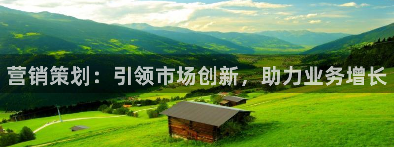 必赢手机版官网