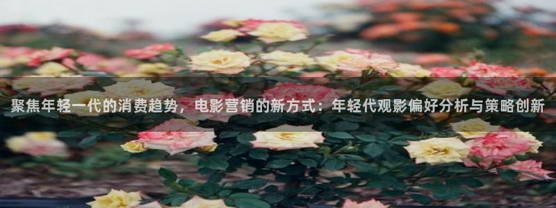 必赢3003 会员账号：聚焦年