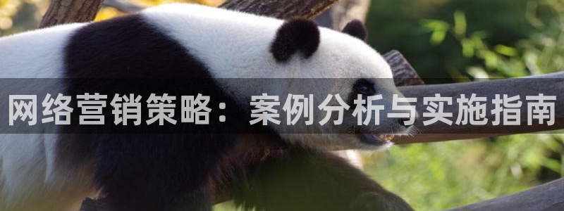 下载s7321必赢：网络营销策