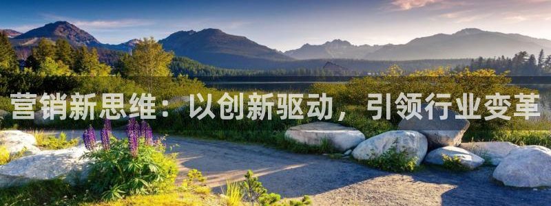 必赢网站平台登录