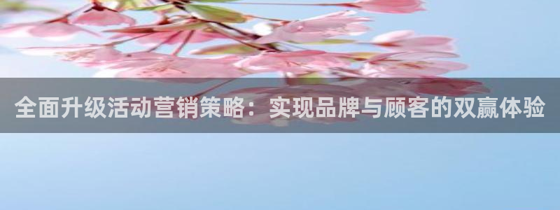 必赢公司是怎样的一家企业