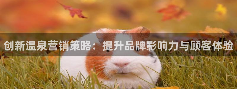 必赢72886是黑网站么